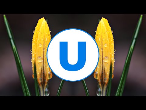 Trance | Dream Travel feat. Syntheticsax - Beautiful (Club Version) | Umusic Records Release