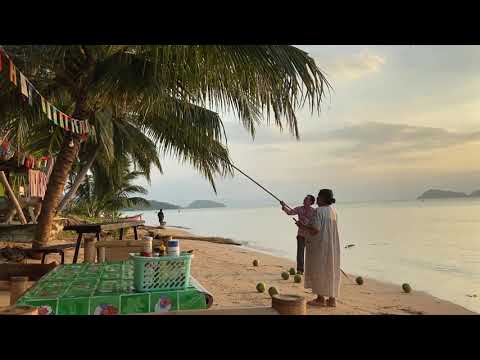 Coconut at the Beach