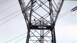 preview picture of video 'Bald Eagle Nesting in Electrical Transmission Tower at Conowingo Dam'