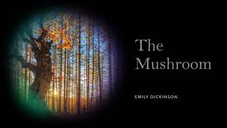 The Mushroom by Emily Dickinson