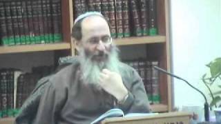 15214-4 אלימות פראית