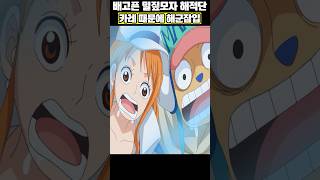 밥 먹고 싶어 해군에 잠입한 사황 밀짚모자 해적단