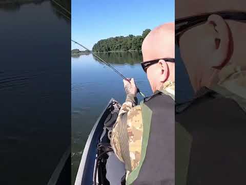Nice Low Water River Bass! #bassfishing #kayakfishing #kayakbassfishing