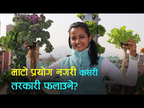 Setopati video coverage of Towerganics