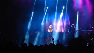 Riblja Čorba | Neću da ispadnem životinja | Koncert Merošina, 15.06.2014. LIVE