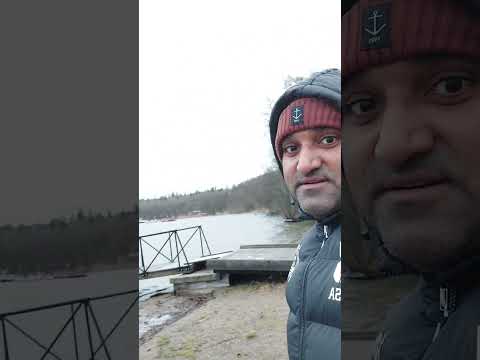 Forest and Beach in Sweden.(4)