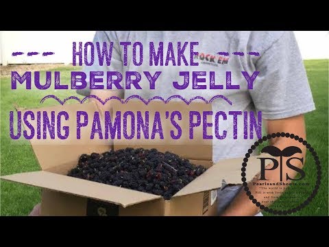 How to make Mulberry jam / jelly