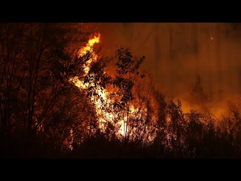 Victoria under extreme weather alert as firefighters battle out-of-control blazes