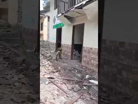 la vega cauca despues  del atentado con explosivos.