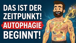 Wie lange kannst du fasten, bevor die Autophagie ausgelöst wird?