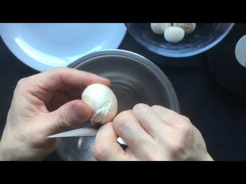 fluted mushroom ,champignon tourné,seta,シャンピニオン,マッシュルーム