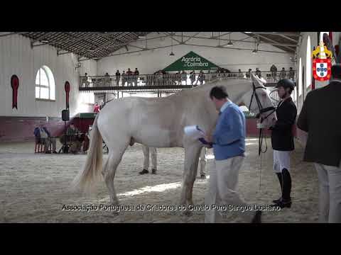 211023 23 Noble - Aprovação de Garanhões