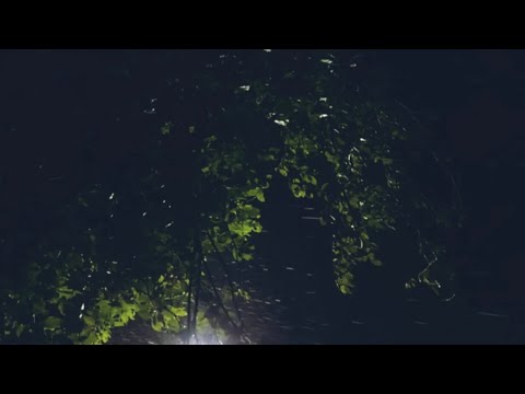 Enkhe x Erkhem - Ter Husdeg(Official Lyrics Video)