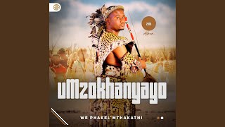 Download lagu NGISHIMISWE INKANI (feat. SHENGE WASEHLALANKOSI) mp3