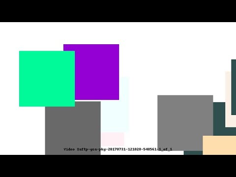 Video #sftp-gcs-pkg-20170731-121028-548561-1_of_1