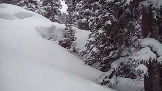 preview picture of video 'Trees in Zuma Bowl'