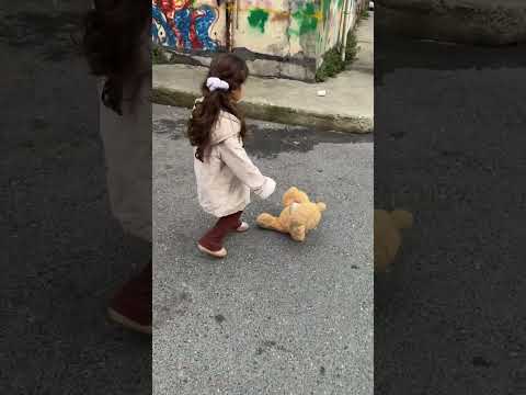 Köpek ayıcığını arıyordu götürdük