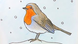 Beginners - How to draw a robin step by step