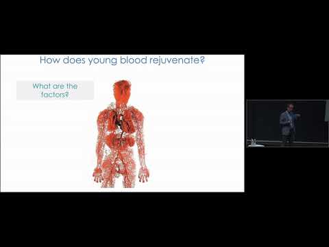 Systemic Regulation of Brain Aging & Function