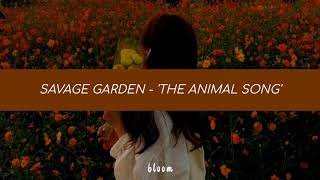 Savage Garden - The Animal Song [Traducida al Español]