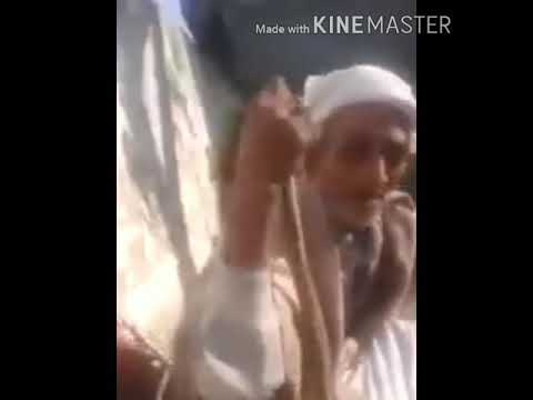 Ja Ja Tur Ja... Funny Line