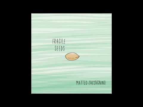 Matteo Zaccagnino / Fragile seeds