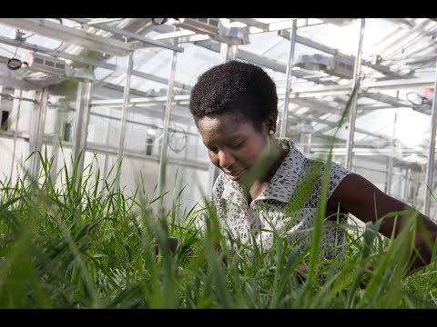 Why UMN Plant Pathology Graduate Program: Zennah Kosgey