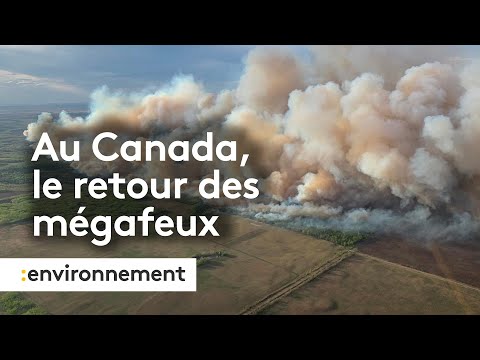 Canada : des milliers de personnes évacuées en raison des "méga-feux"