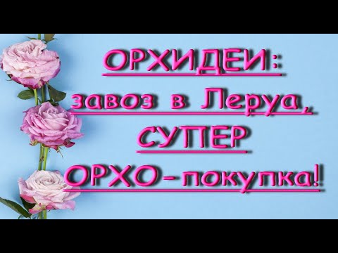 ЗАВОЗ орхидей в ЛЕРУА:шикарная "БАБОЧКА",мечта сбылась!ТЦ"Космопорт",Самара,31.07.20.