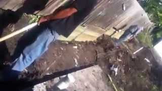 These Indian Guys Enjoy Their Work In Australia