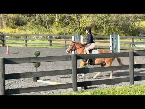 Nemo video 1