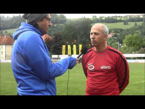 AFW U17-Wr.Neustadt_(26.5.2013)_Trainerinterview