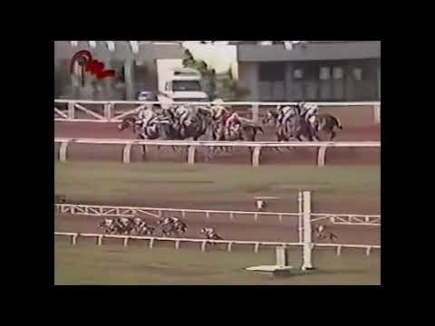 Clasico del Caribe 1990 Don Fabián, hipódromo nacional del Zulia, Santa Rita.