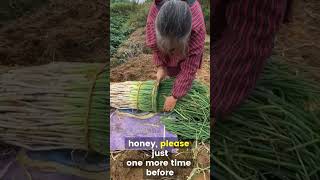 A Joke : A Husband's Last Day  [The Black Book Of Jokes]     #shorts #jokes #funnyshorts