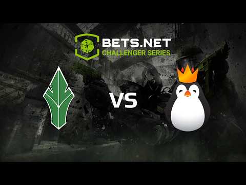 [EN] HAVU vs Kinguin, Bets.net Challenger Series