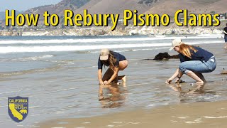 How to Rebury a Pismo Clam