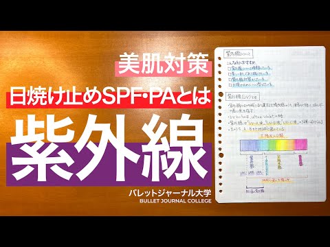 日焼け止めについて詳しく解説