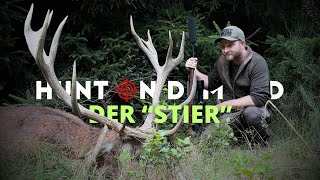 Feisthirschjagd in der Eifel 🌋 Der &quot;Stier&quot; mit @Huntingroom
