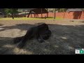 D1UGsQPlpsY/default.jpg