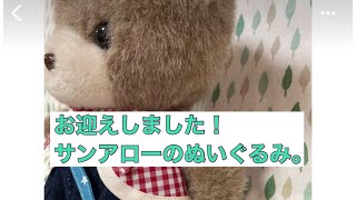 我が家にお迎えした、お子。（2022.6.1）