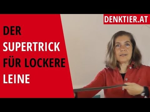 der supertrick für lockere leine