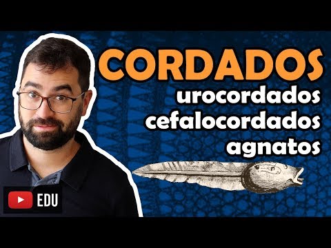 Urochordates, Cephalochordates and Agnata - Chordates. Class 27 - Module VI: Zoology | Prof. Gui