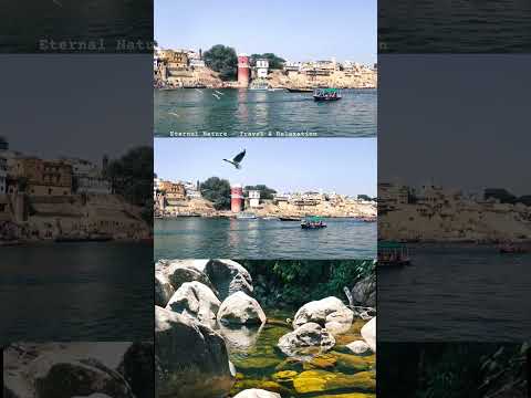 Peaceful Saryu: Boats, Birds & Bliss 🛶🕊️✨ #shorts #sarayu #nature