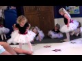 Layla Dance Recital 10