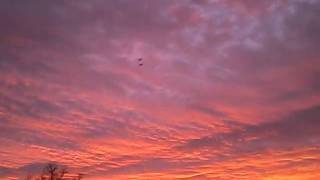 Sunrise & Cranes in NM.AVI