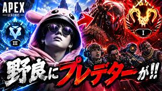 ダイヤ３でまさかの野良にプレデターが！！刺激をもらいました【APEX】