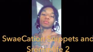 Sremmlife 2 and SwaeCation Snippets