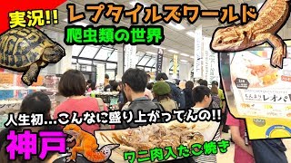 【実況】初めてのヘビの感触凄い...爬虫類系のイベント熱気が凄くてビックリです！！