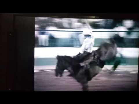 Rodeio Arabá - Luiz Antônio do Nascimemto vs Panter