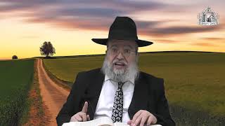 דף היומי בחצי שעה - ברכות דף מ"ד